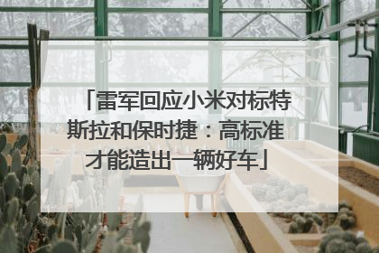雷军回应小米对标特斯拉和保时捷：高标准才能造出一辆好车
