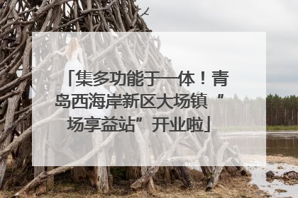 集多功能于一体！青岛西海岸新区大场镇“场享益站”开业啦