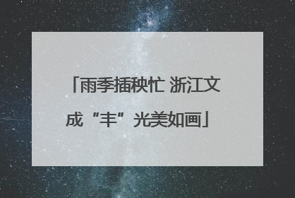 雨季插秧忙 浙江文成“丰”光美如画