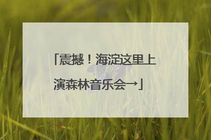 震撼！海淀这里上演森林音乐会→