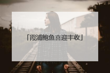 霞浦鲍鱼喜迎丰收
