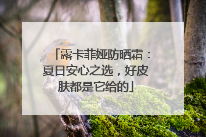 露卡菲娅防晒霜：夏日安心之选，好皮肤都是它给的