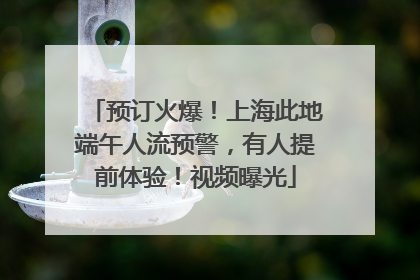 预订火爆！上海此地端午人流预警，有人提前体验！视频曝光