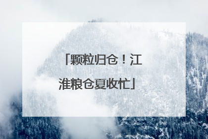 颗粒归仓！江淮粮仓夏收忙