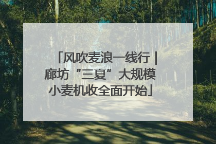 风吹麦浪一线行｜廊坊“三夏”大规模小麦机收全面开始