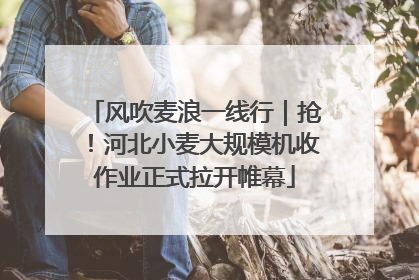 风吹麦浪一线行｜抢！河北小麦大规模机收作业正式拉开帷幕