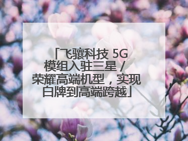 飞骧科技 5G 模组入驻三星 / 荣耀高端机型，实现白牌到高端跨越