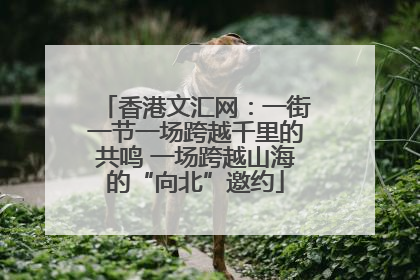 香港文汇网：一街一节一场跨越千里的共鸣 一场跨越山海的“向北”邀约