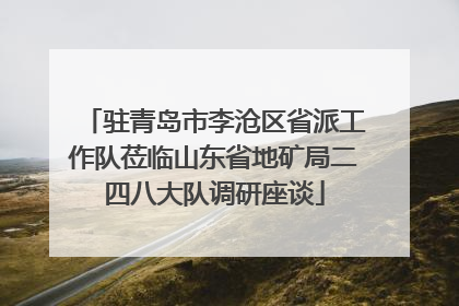 驻青岛市李沧区省派工作队莅临山东省地矿局二四八大队调研座谈