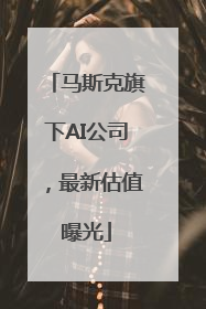 马斯克旗下AI公司，最新估值曝光