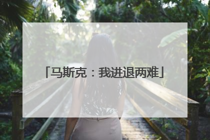 马斯克：我进退两难