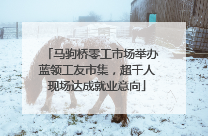 马驹桥零工市场举办蓝领工友市集，超千人现场达成就业意向