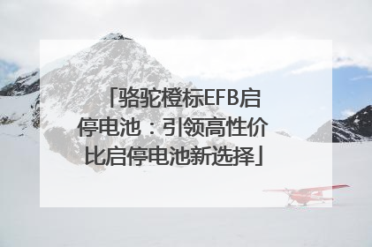 骆驼橙标EFB启停电池：引领高性价比启停电池新选择
