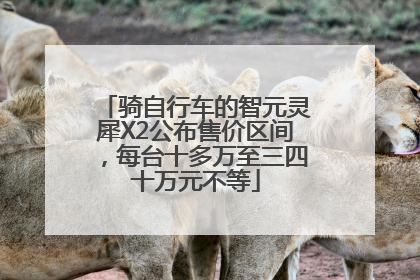 骑自行车的智元灵犀X2公布售价区间，每台十多万至三四十万元不等