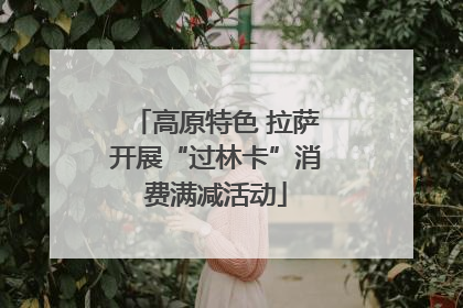 高原特色 拉萨开展“过林卡”消费满减活动