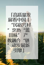 高质量发展看中国丨“民宿兴村”烹热“蓝田味” 产教融合“链”动发展新引擎