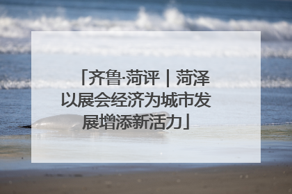 齐鲁·菏评｜菏泽以展会经济为城市发展增添新活力