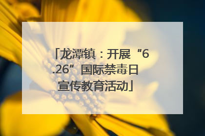 龙潭镇：开展“6.26”国际禁毒日宣传教育活动