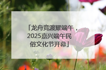 龙舟竞渡耀端午，2025嘉兴端午民俗文化节开幕
