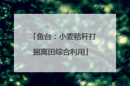 鱼台：小麦秸秆打捆离田综合利用
