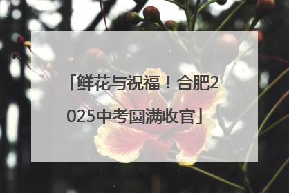 鲜花与祝福！合肥2025中考圆满收官