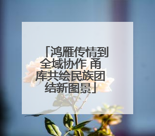 鸿雁传情到全域协作 甬库共绘民族团结新图景