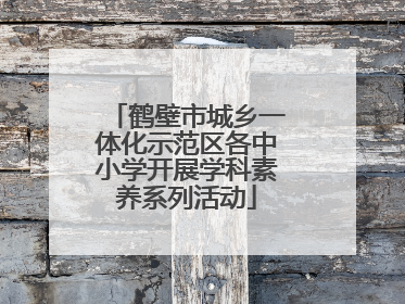 鹤壁市城乡一体化示范区各中小学开展学科素养系列活动