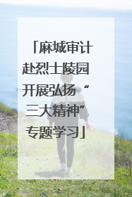 麻城审计赴烈士陵园开展弘扬“三大精神”专题学习