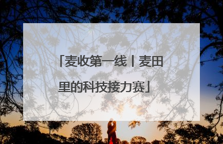麦收第一线丨麦田里的科技接力赛