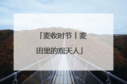 麦收时节丨麦田里的观天人