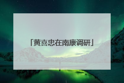 黄喜忠在南康调研