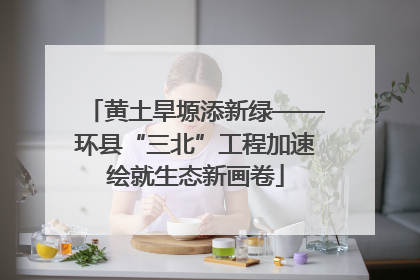 黄土旱塬添新绿——环县“三北”工程加速绘就生态新画卷