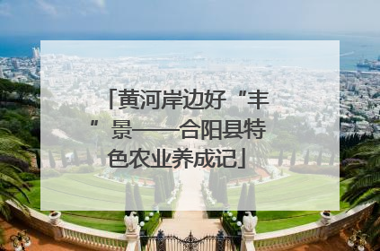 黄河岸边好“丰”景——合阳县特色农业养成记