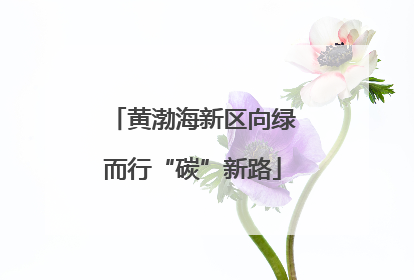 黄渤海新区向绿而行“碳”新路