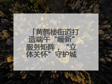 黄鹤楼街道打造端午“暖新”服务矩阵，“立体关怀”守护城市“摆渡人”