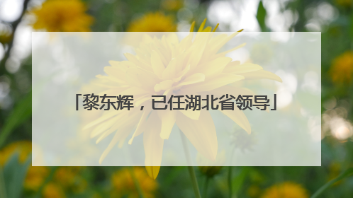黎东辉，已任湖北省领导