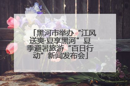 黑河市举办“江风送爽·夏享黑河”夏季避暑旅游“百日行动”新闻发布会