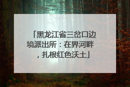 黑龙江省三岔口边境派出所：在界河畔，扎根红色沃土