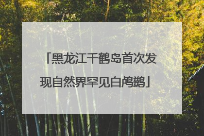 黑龙江千鹤岛首次发现自然界罕见白鸬鹚