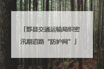 黟县交通运输局织密汛期道路“防护网”
