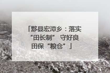 黟县宏潭乡：落实“田长制” 守好良田保“粮仓”