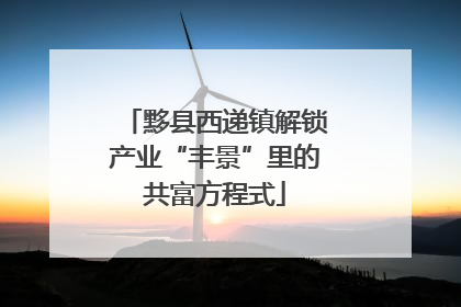 黟县西递镇解锁产业“丰景”里的共富方程式