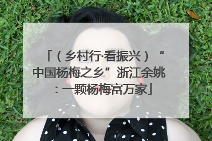 （乡村行·看振兴）“中国杨梅之乡”浙江余姚：一颗杨梅富万家