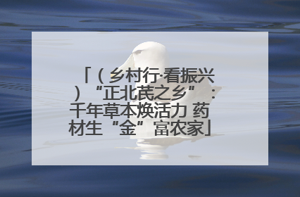 （乡村行·看振兴）“正北芪之乡”：千年草本焕活力 药材生“金”富农家