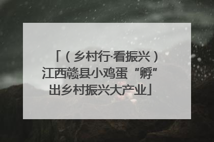 （乡村行·看振兴）江西赣县小鸡蛋“孵”出乡村振兴大产业