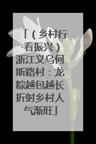 （乡村行·看振兴）浙江义乌何斯路村：龙粽越包越长折射乡村人气渐旺