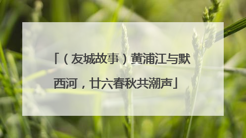 （友城故事）黄浦江与默西河，廿六春秋共潮声
