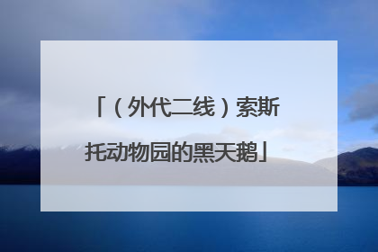 （外代二线）索斯托动物园的黑天鹅