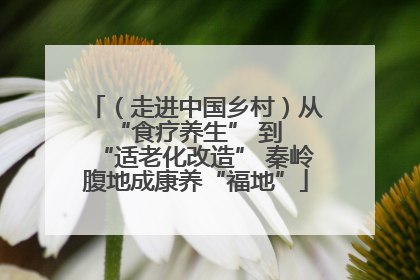 （走进中国乡村）从 “食疗养生” 到 “适老化改造” 秦岭腹地成康养“福地”