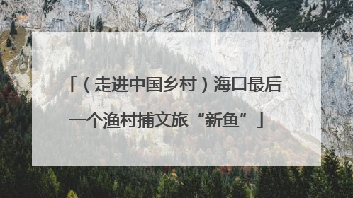 （走进中国乡村）海口最后一个渔村捕文旅“新鱼”